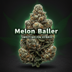 Melon Baller